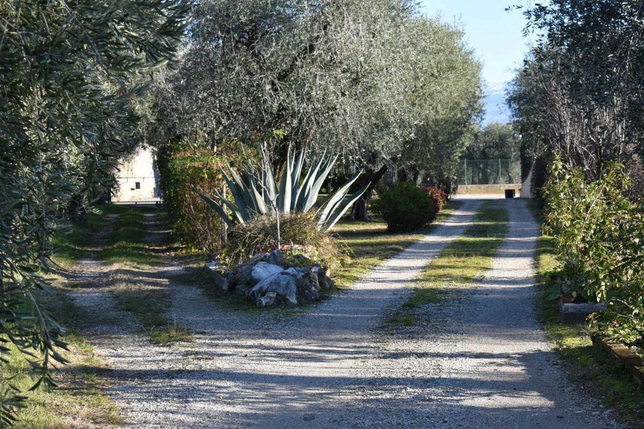 Villa Casa Ulivo à Montinelle Extérieur photo