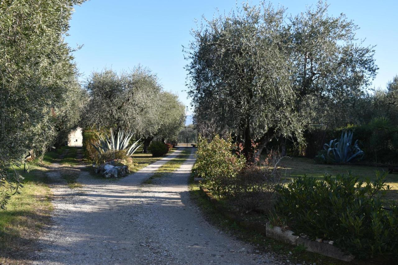 Villa Casa Ulivo à Montinelle Extérieur photo
