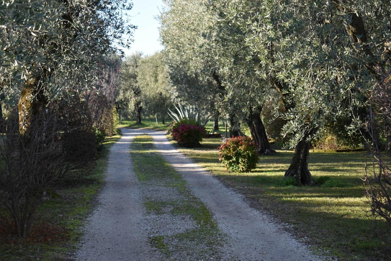 Villa Casa Ulivo à Montinelle Extérieur photo